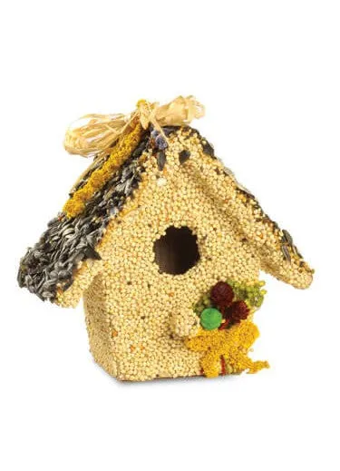 #620 Mr. Bird All Season Birdie Cottages
