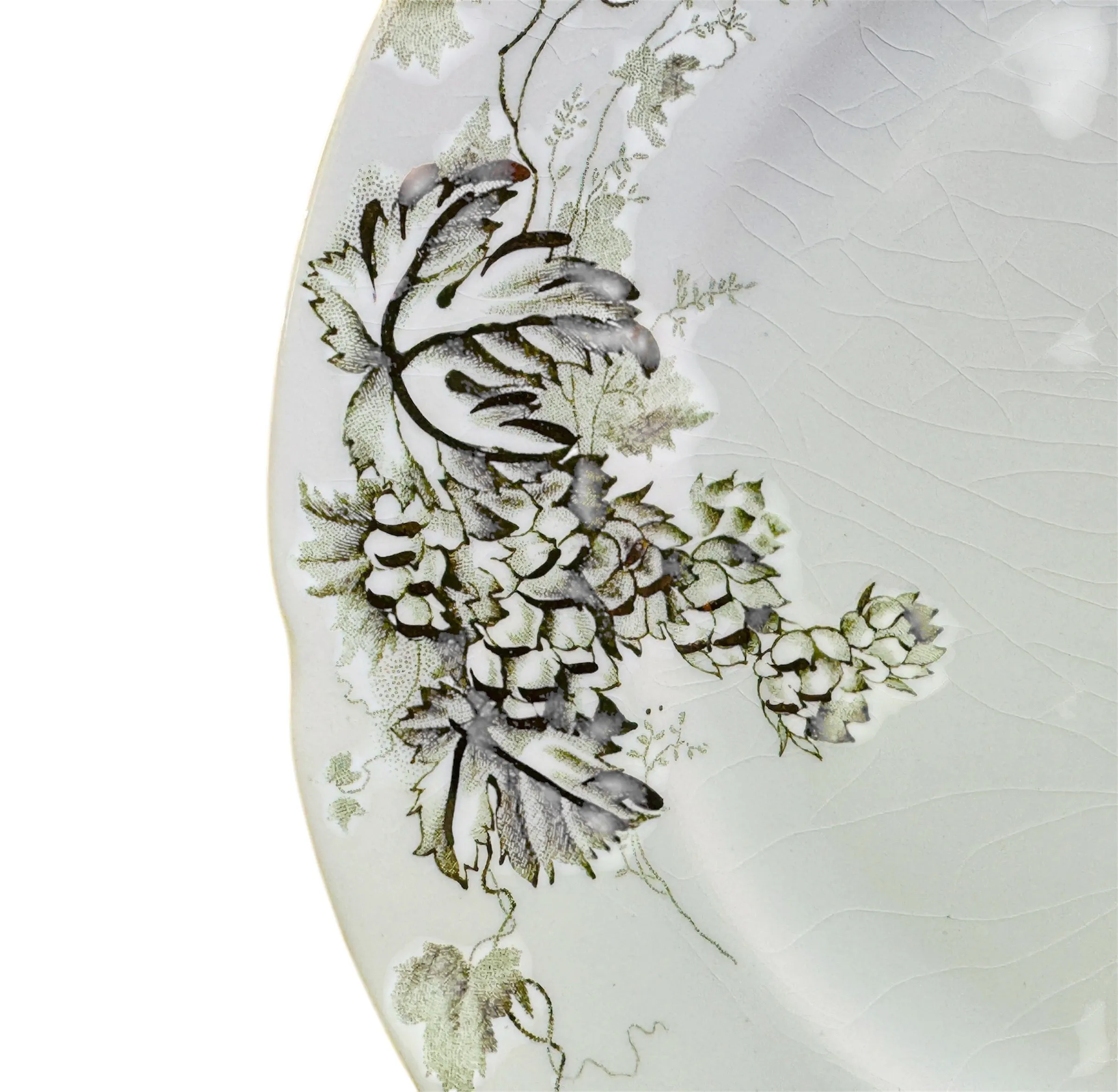 7" Antique Aesthetic Alfred Meakin Green Transferware Plate Hops / Holden & Gold Highlights