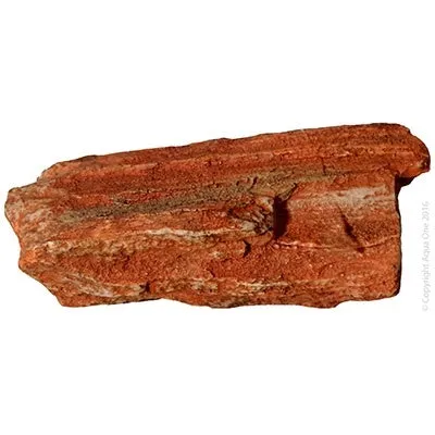 Aqua One Petrified Wood Small