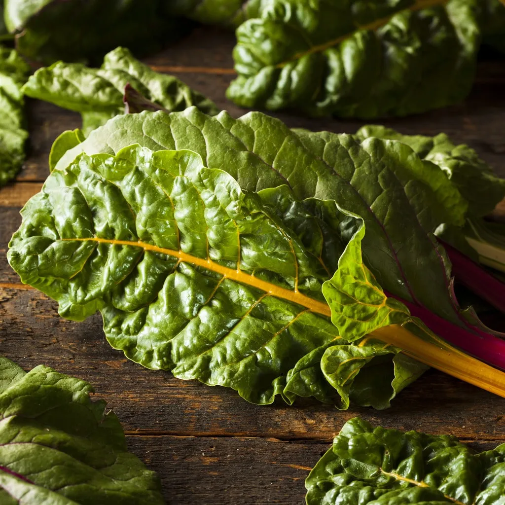 Chard 'Rainbow  Bright Lights'