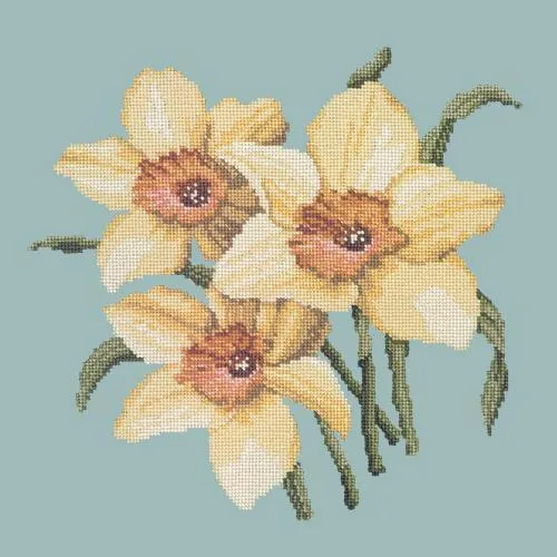 Daffodils