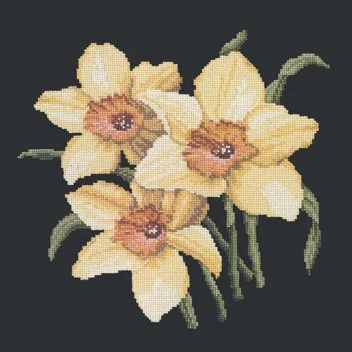 Daffodils