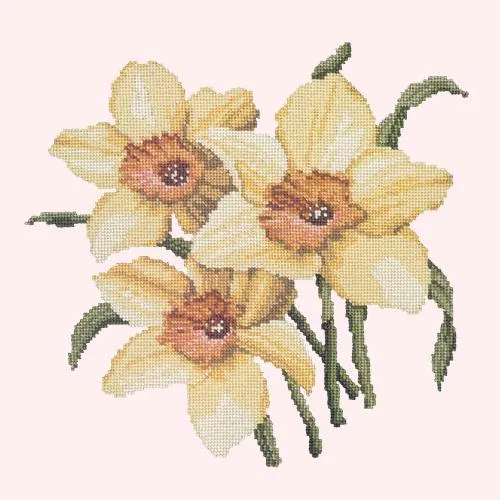 Daffodils