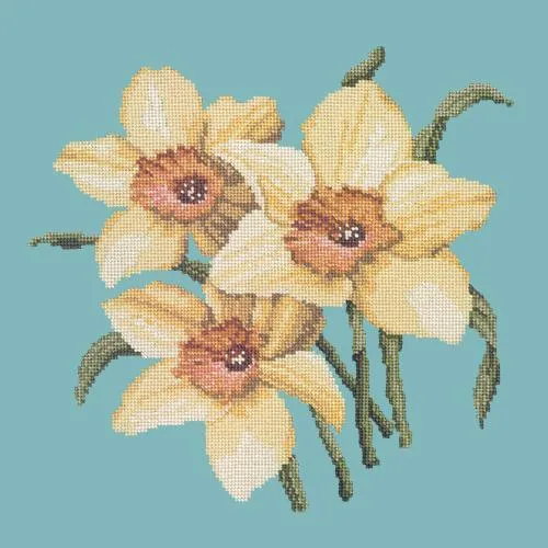 Daffodils
