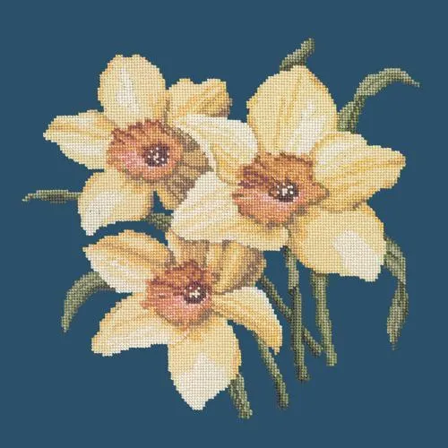 Daffodils