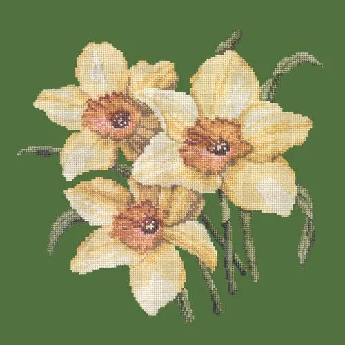 Daffodils
