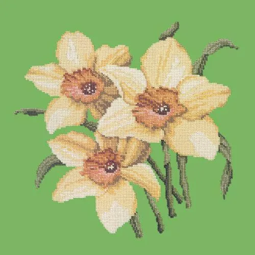 Daffodils
