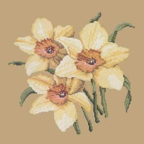 Daffodils