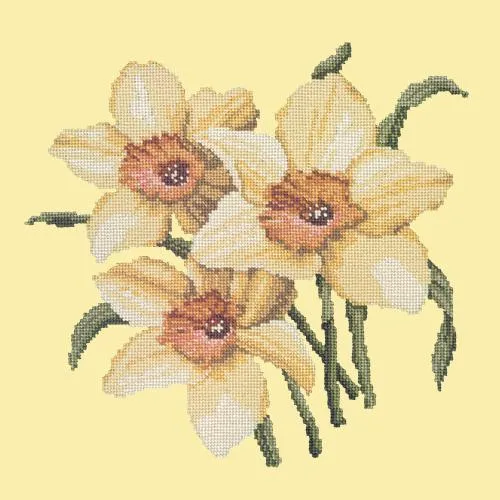 Daffodils