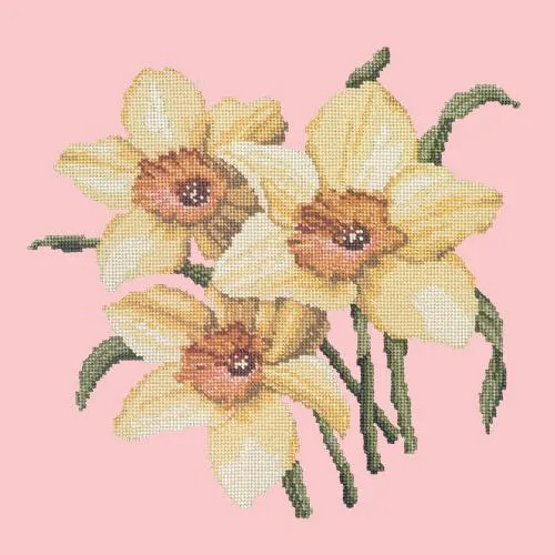 Daffodils