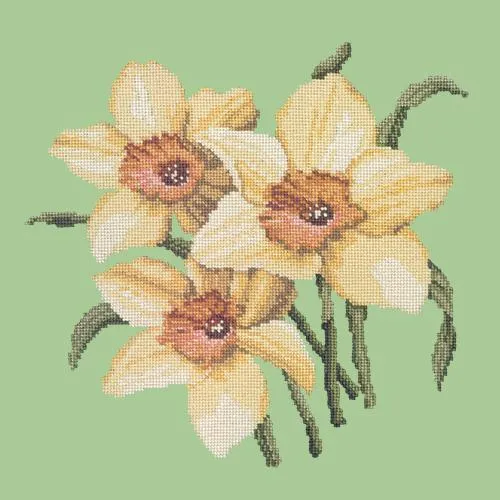 Daffodils