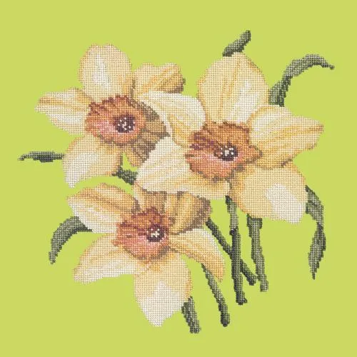 Daffodils