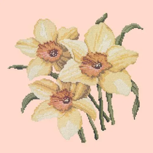 Daffodils