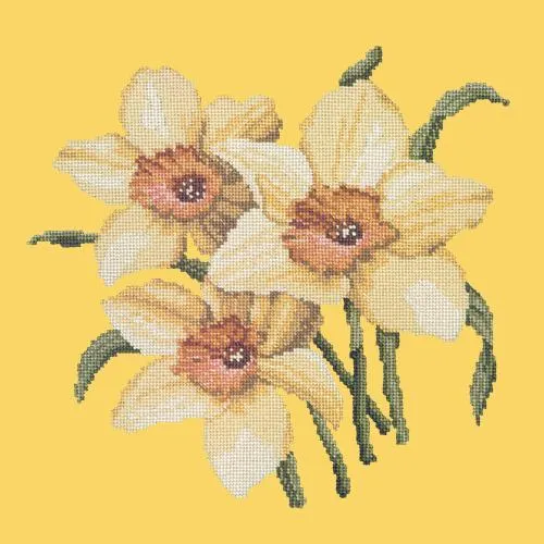 Daffodils