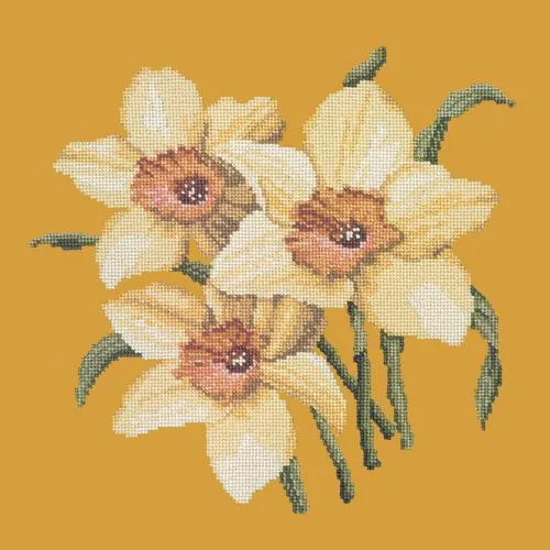 Daffodils