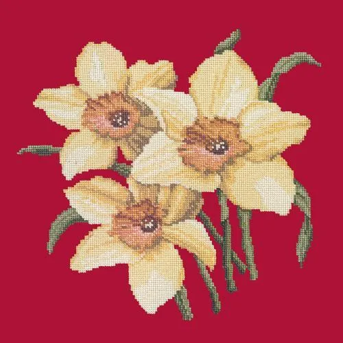 Daffodils