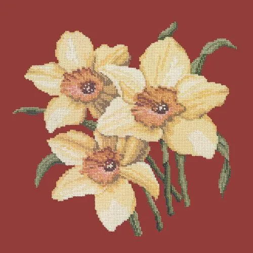 Daffodils