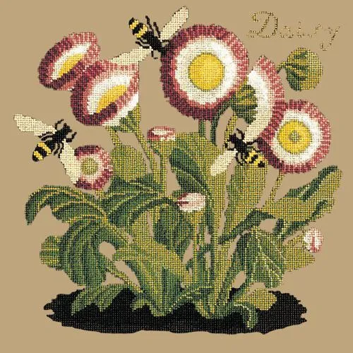 Daisy