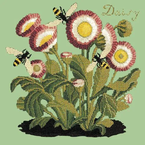 Daisy