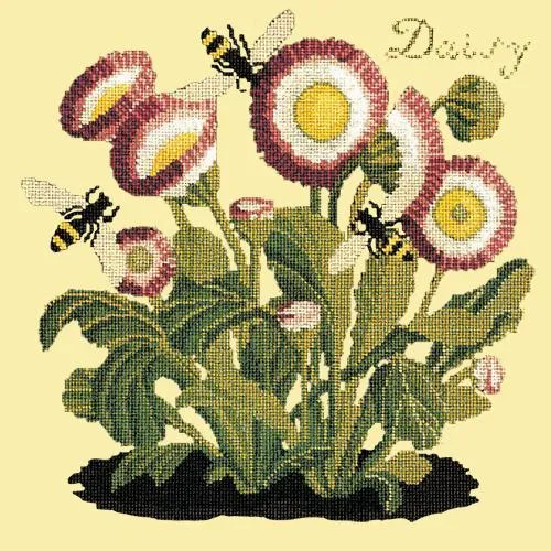 Daisy