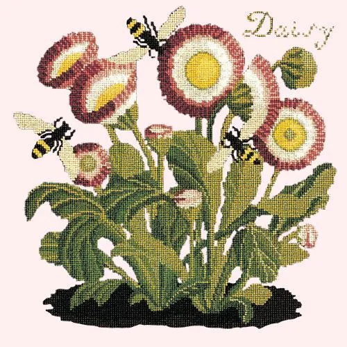Daisy