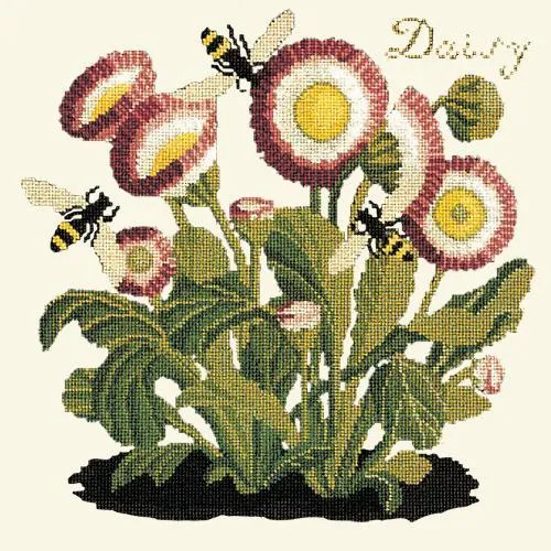 Daisy