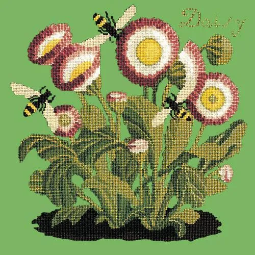 Daisy