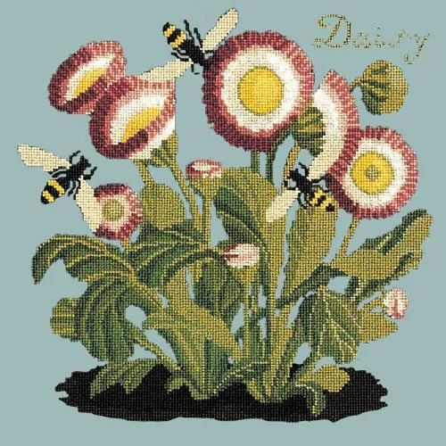 Daisy