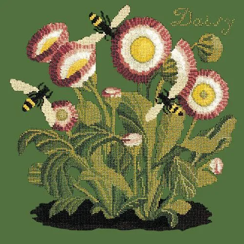 Daisy