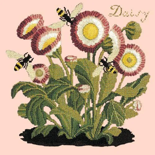 Daisy