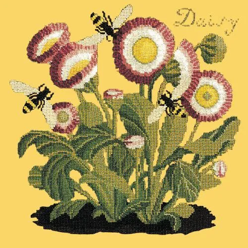 Daisy