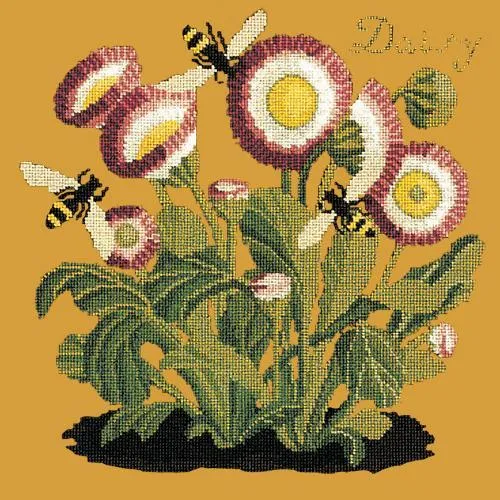 Daisy