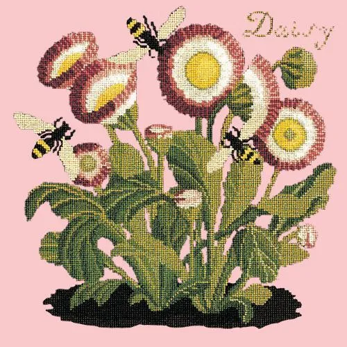 Daisy
