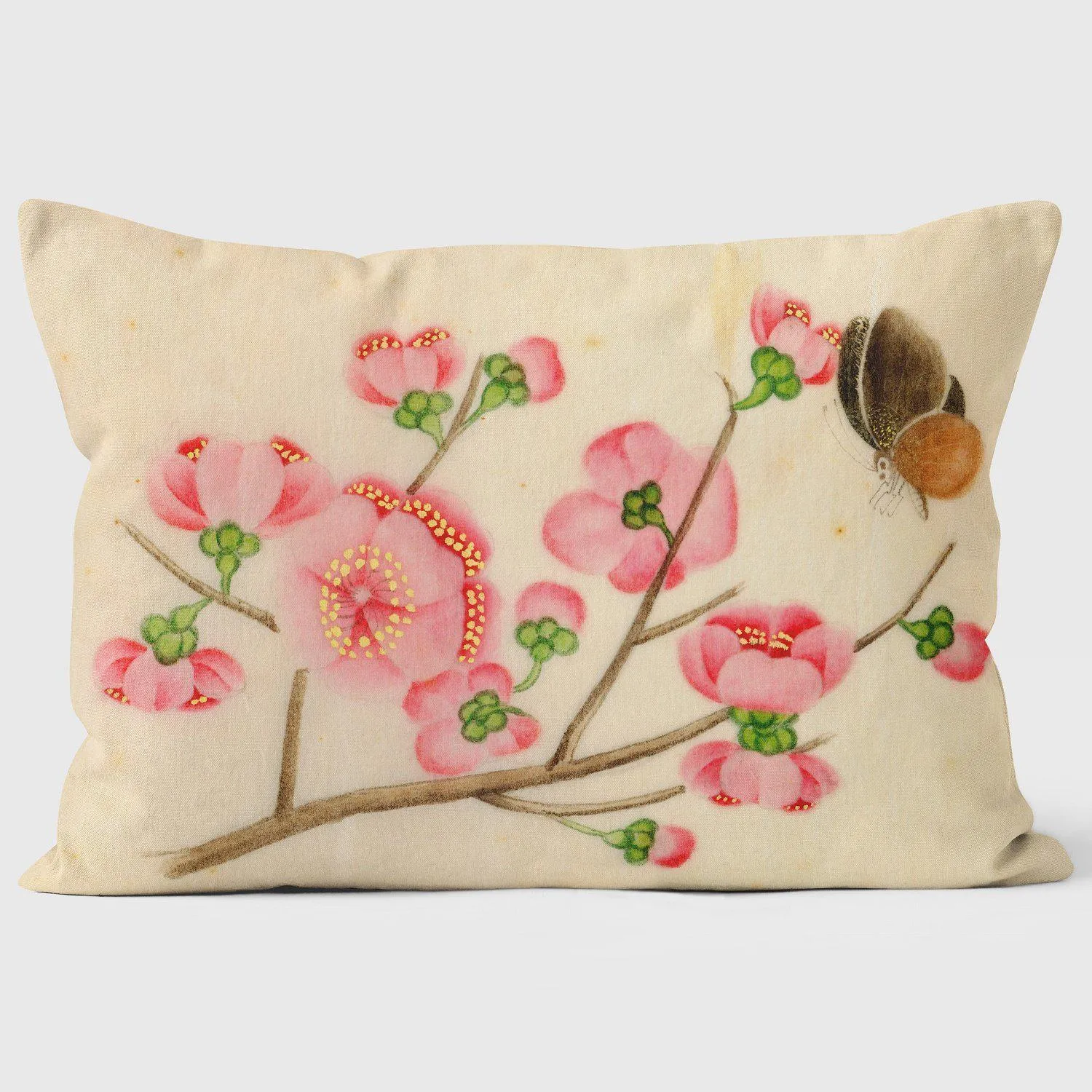 Ornamental Cherry & Butterfly - Mary Evans Cushion