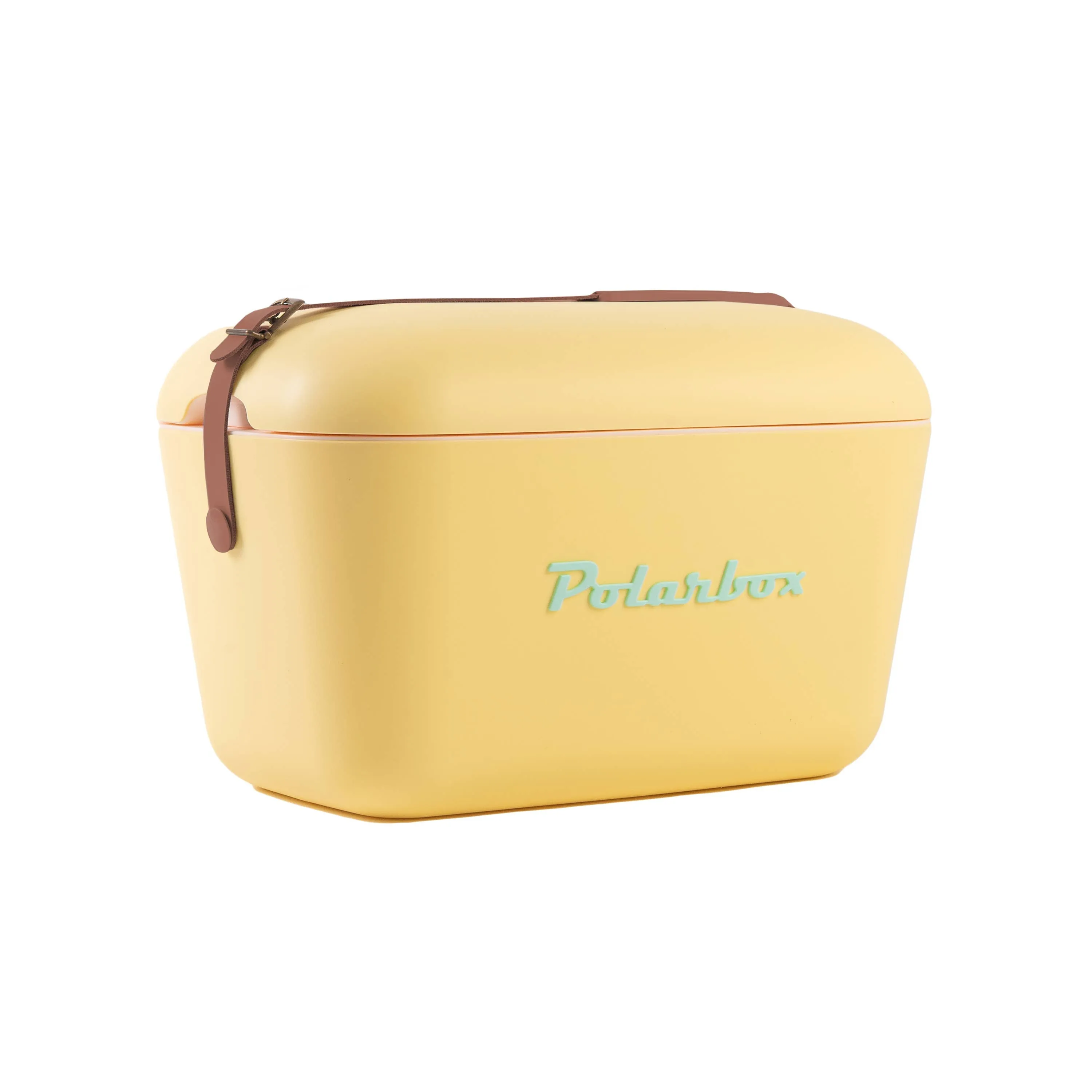 Polarbox cool box 20 L beach picnic summer retro: Purple