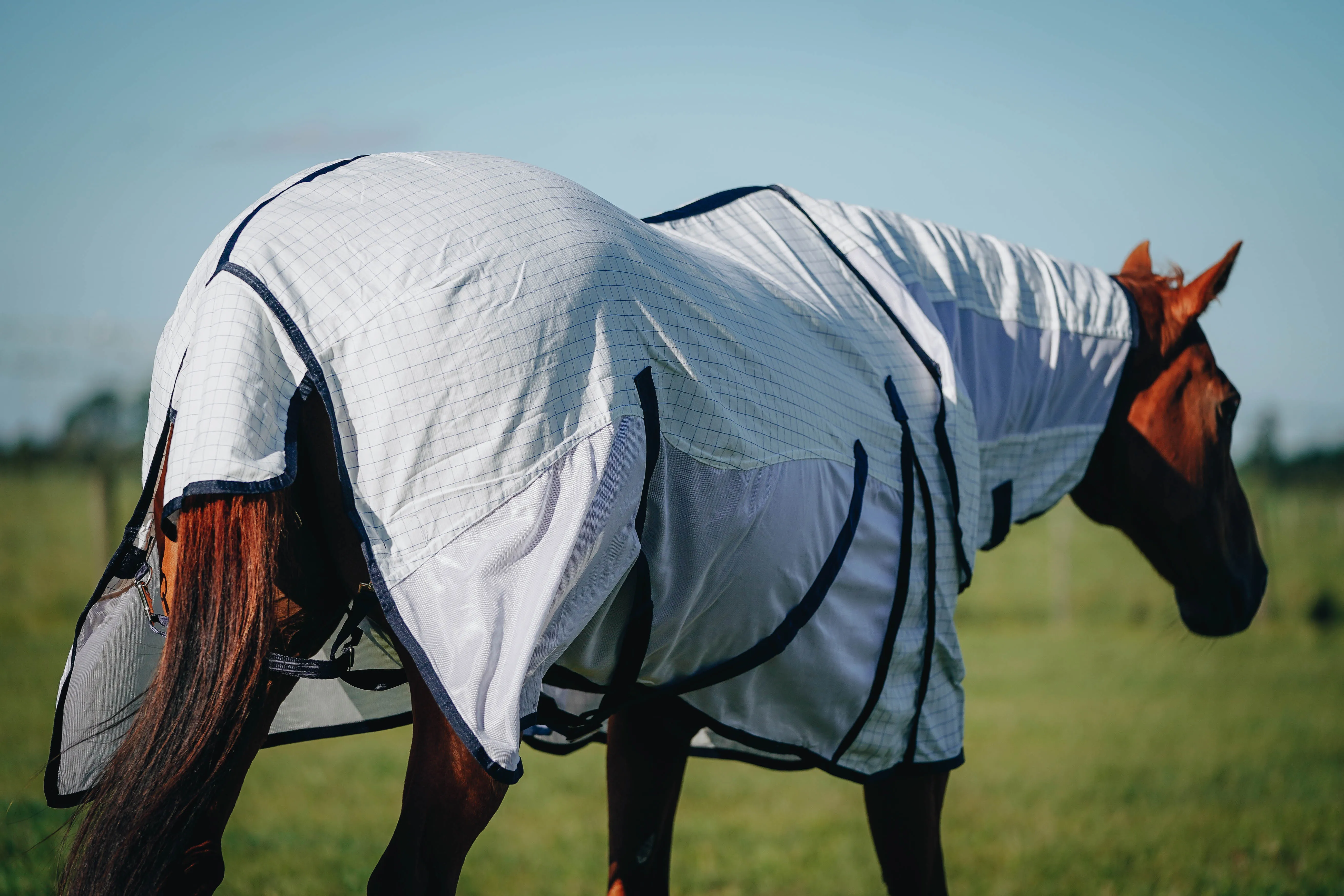 Summer Combo – White Mesh Sides