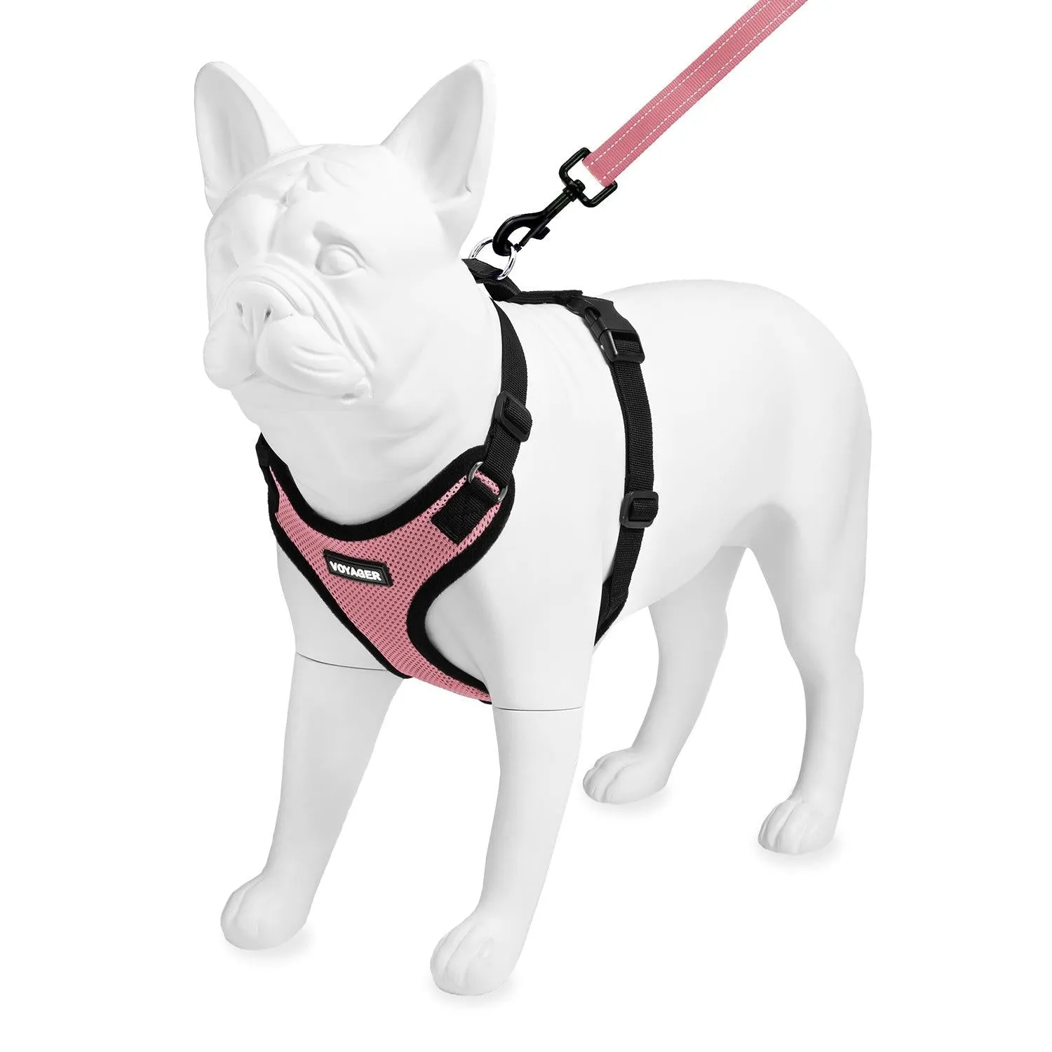 Valentine Step-In Lock Harness & Leash Set