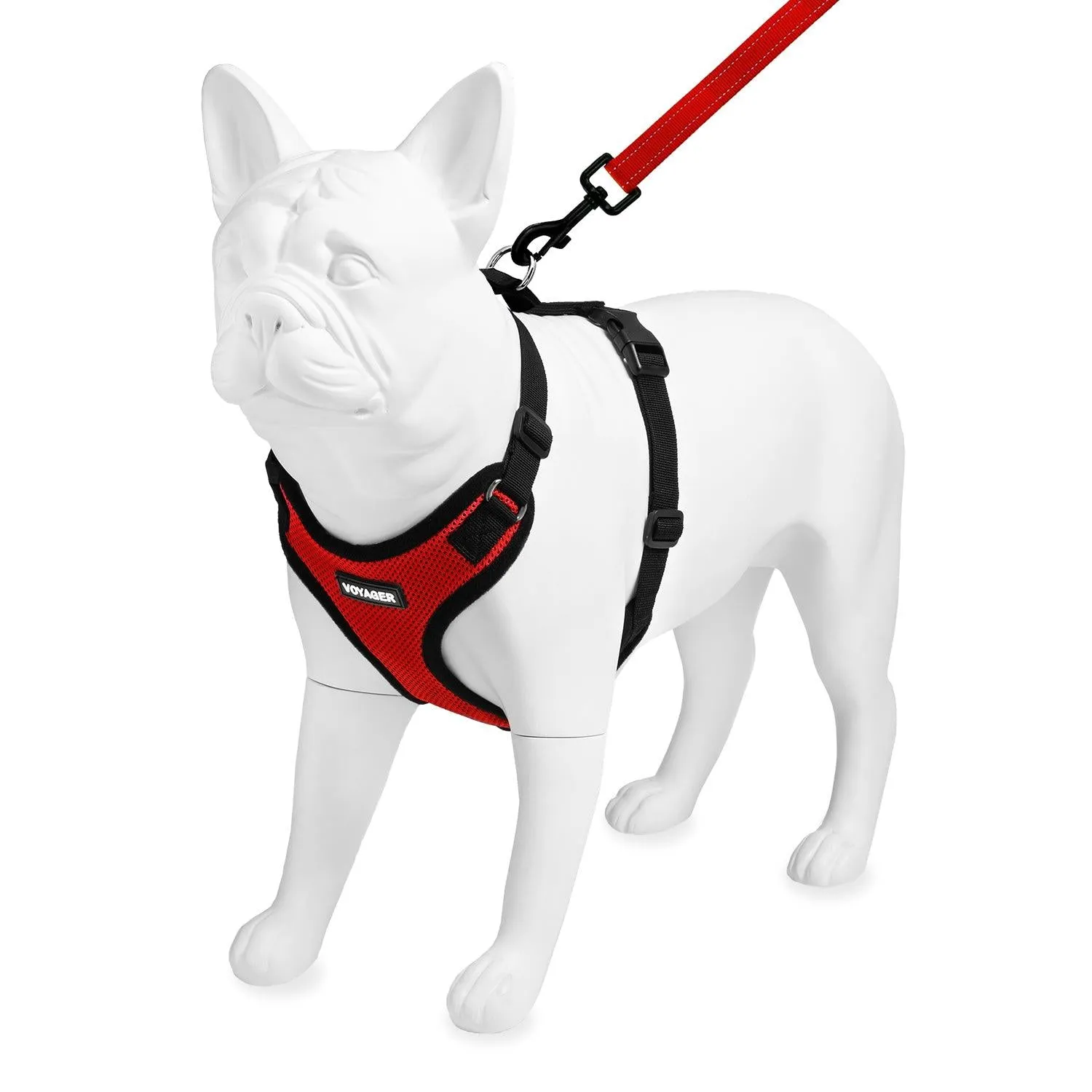 Valentine Step-In Lock Harness & Leash Set