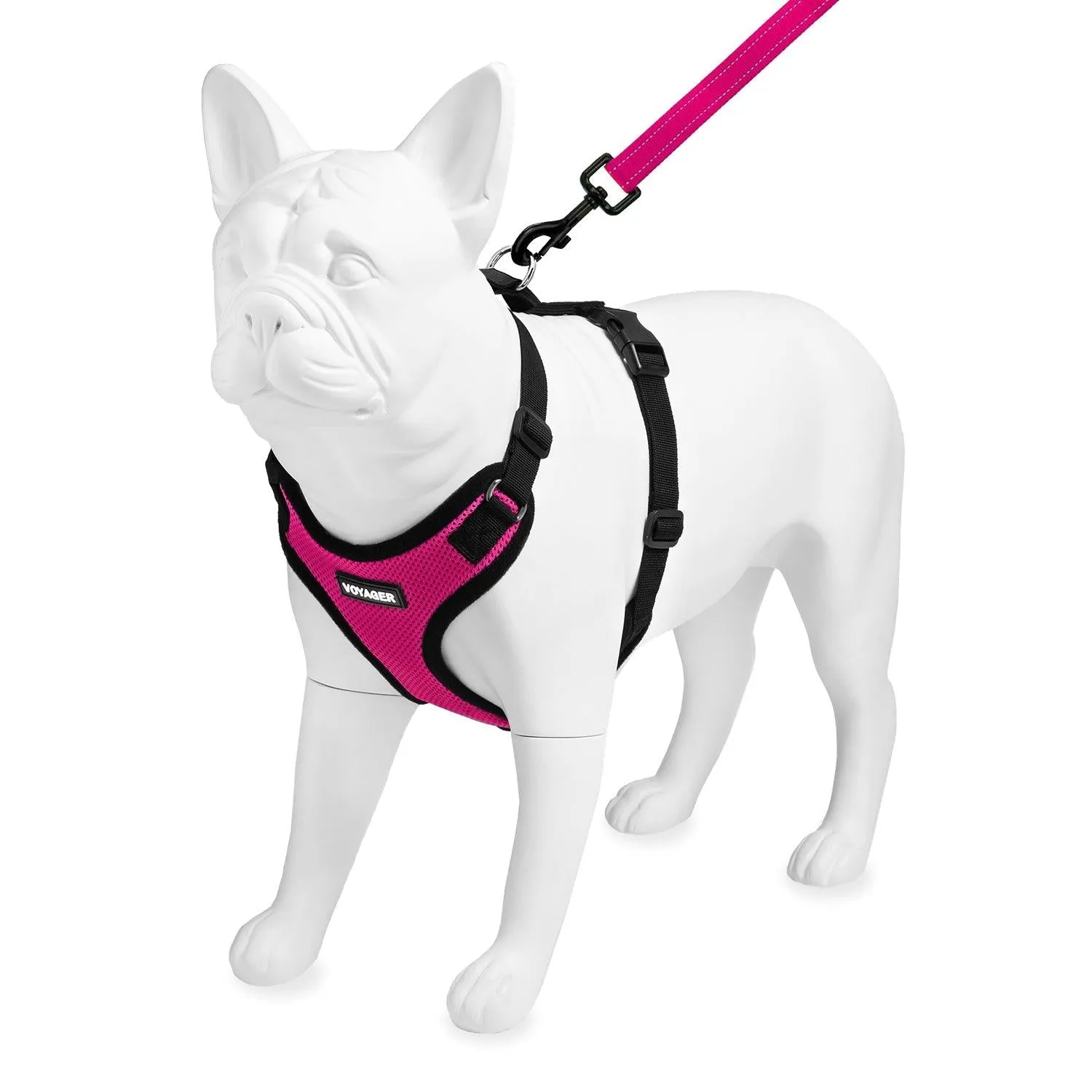Valentine Step-In Lock Harness & Leash Set